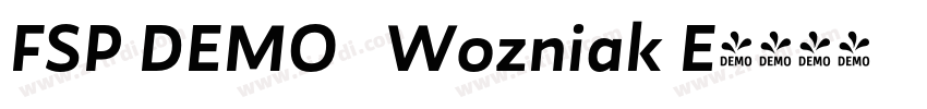 FSP DEMO   Wozniak E字体转换